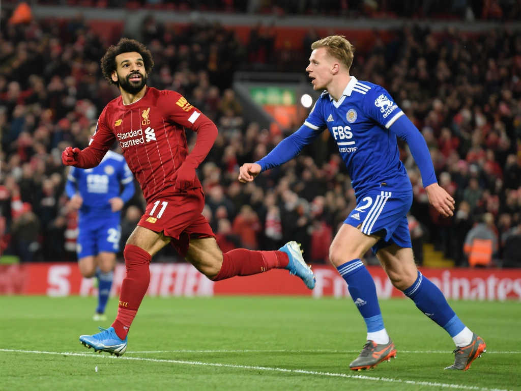 手赢得了可 手赢得了可