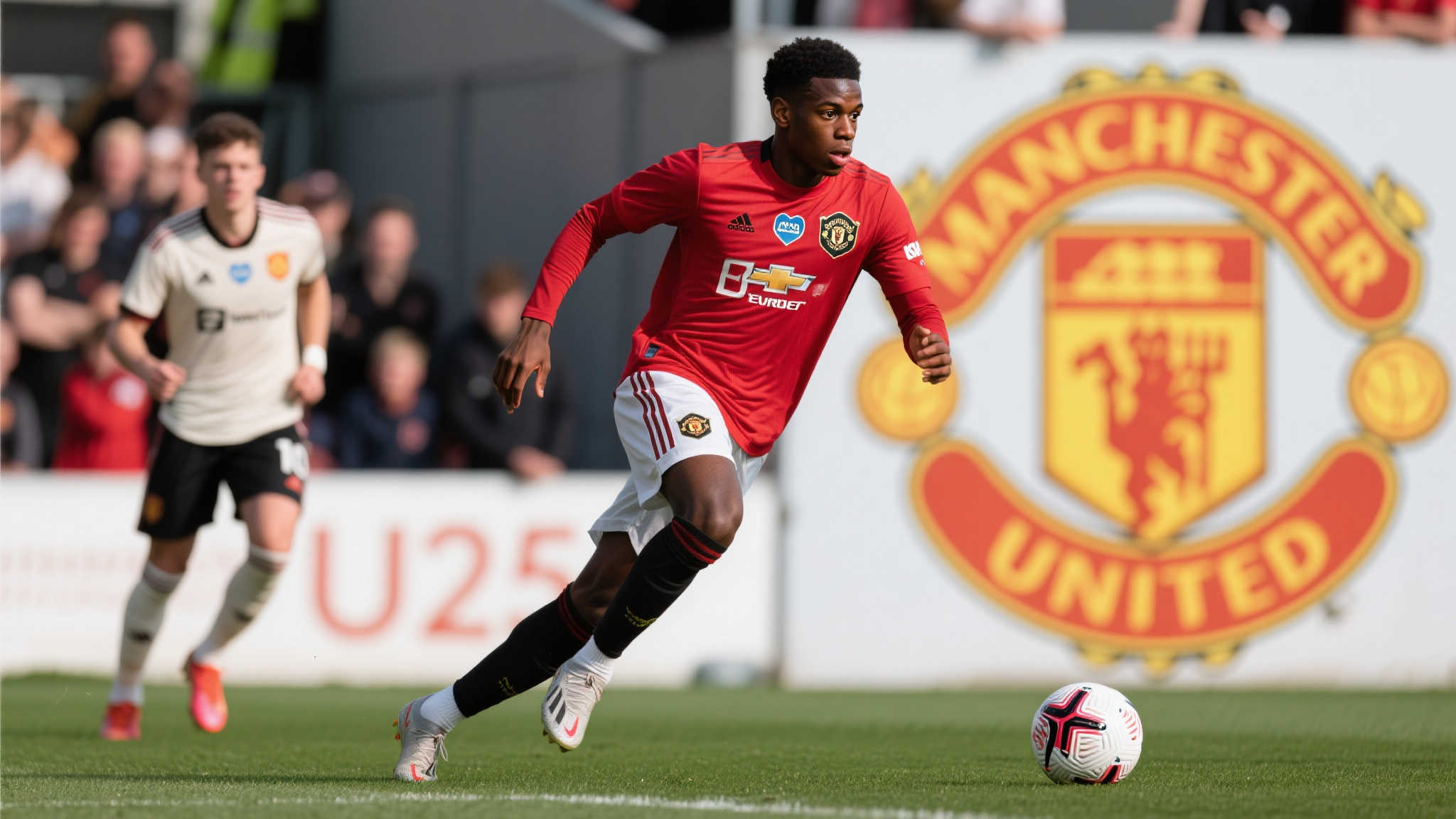 往通过严密 往通过严密